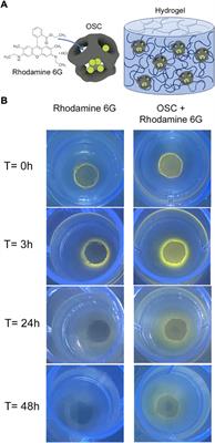 Inorganic nanoparticle empowered biomaterial hybrids: Engineered payload release